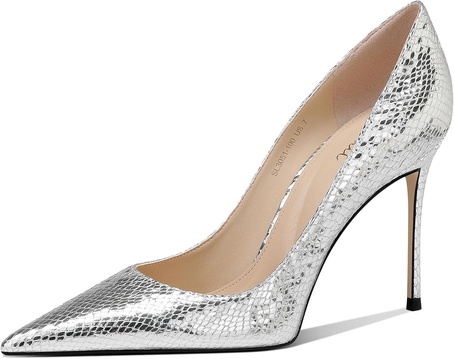 Women’s Silver Pointed Toe Stiletto Pumps Closed Toe High Heels